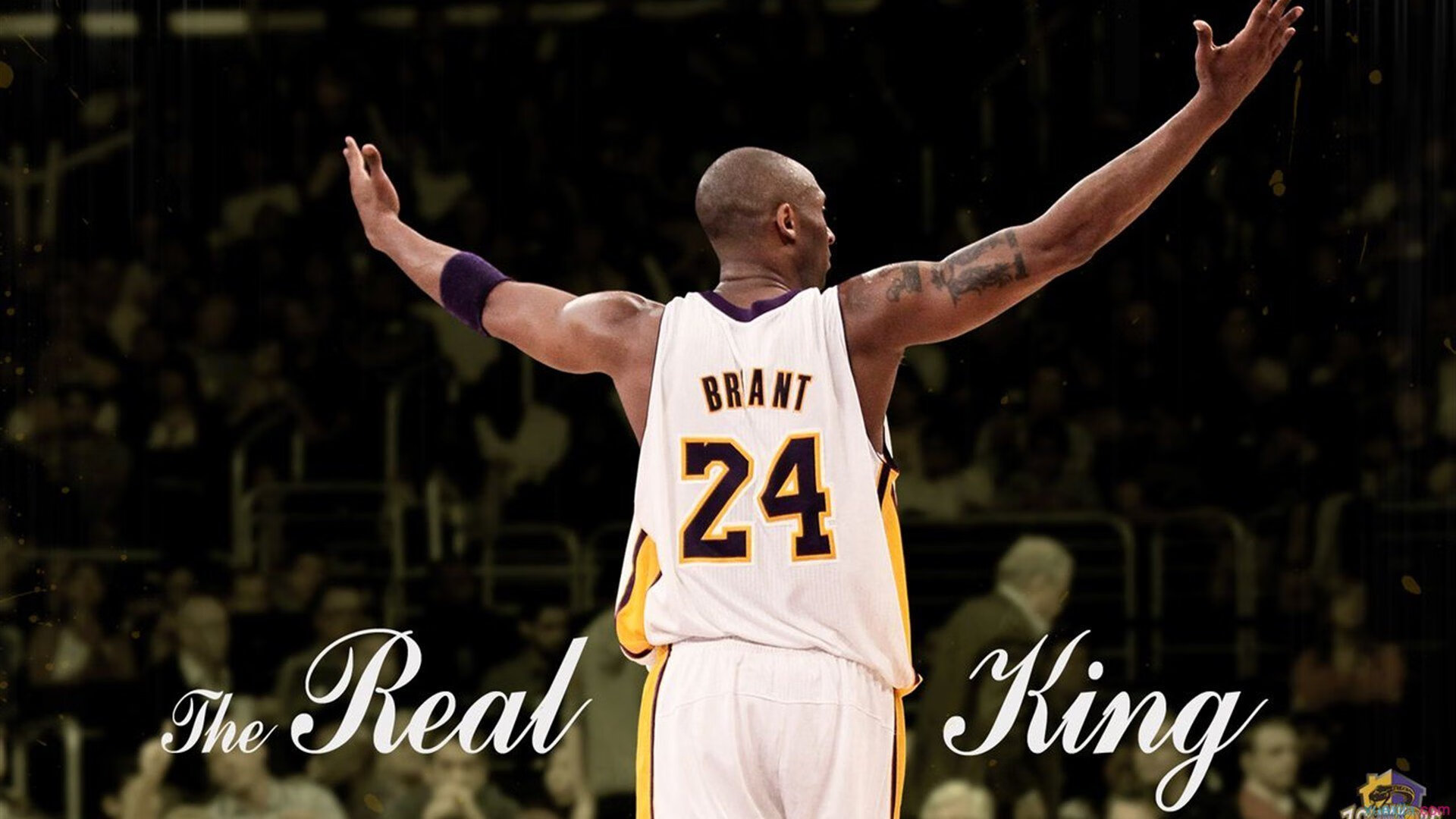 勇士推出“球迷数字会员卡”,享受专属福利,勇士球员交易